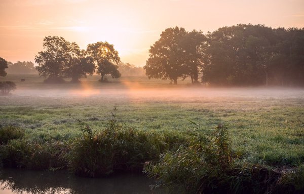 Утренний туман