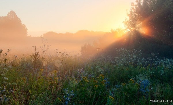 Летний рассвет