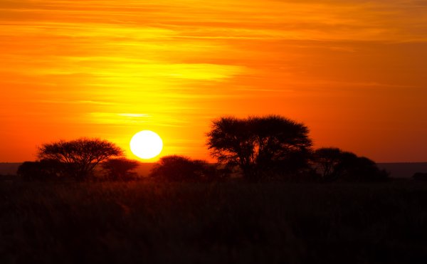 Солнце в Африке