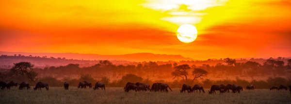 Рассвет над Африкой