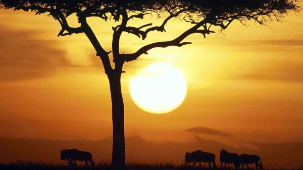 Закат в Африке