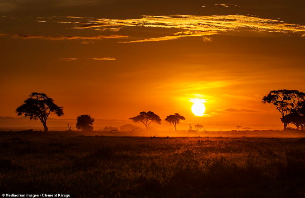 Рассвет в Африке