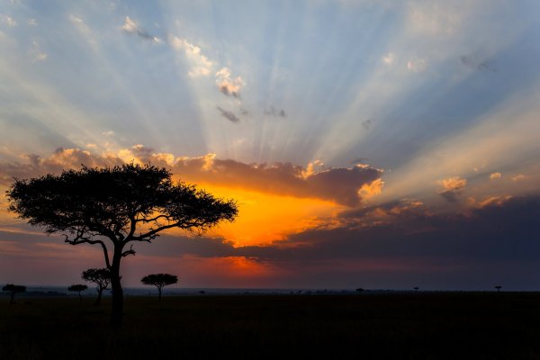 Солнце в Африке