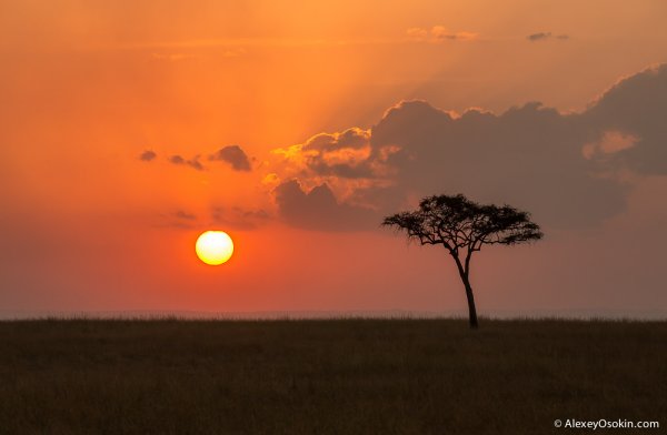Закат в Африке