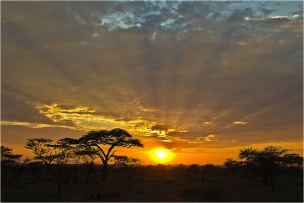 Закат в Масаи Мара