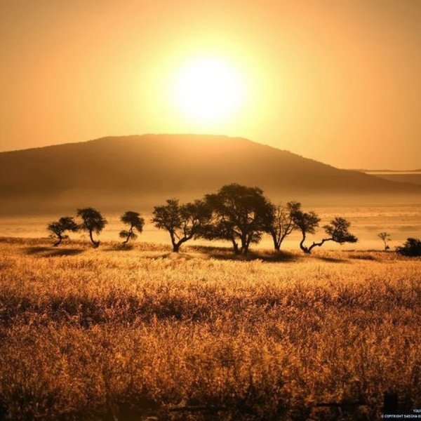 Африканское солнце