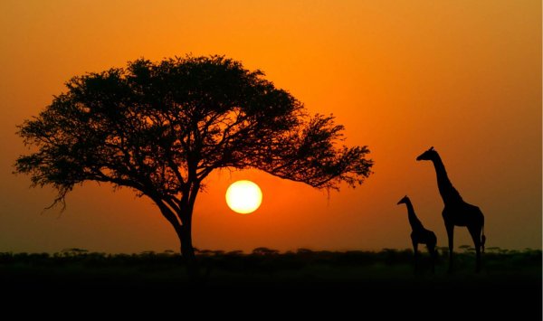 Солнце в Африке