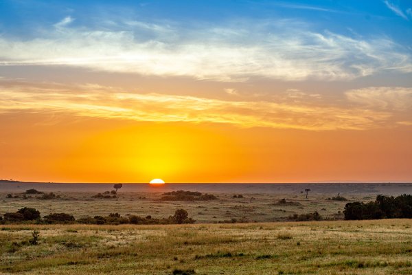 Утро в Африке