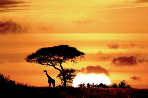 Закат Африки у реки