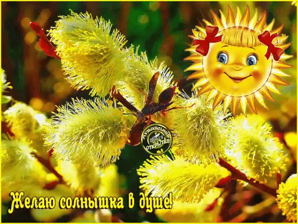 Душевного тепла и солнечного настроения