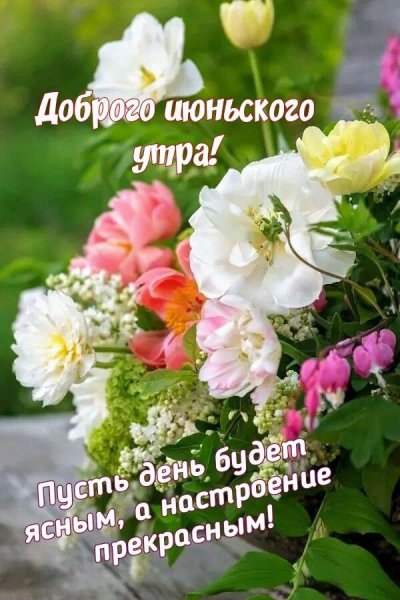 Поздравление с добрым летним утром