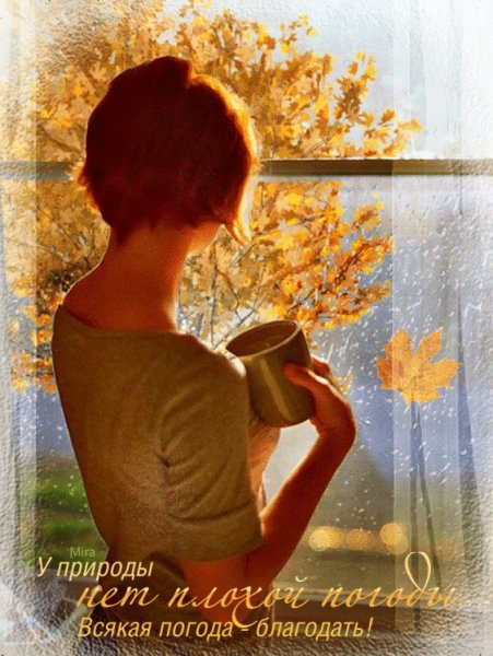 Доброе дождливое осеннее утро