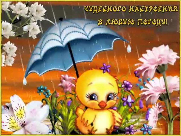 С летним дождиком с надписями