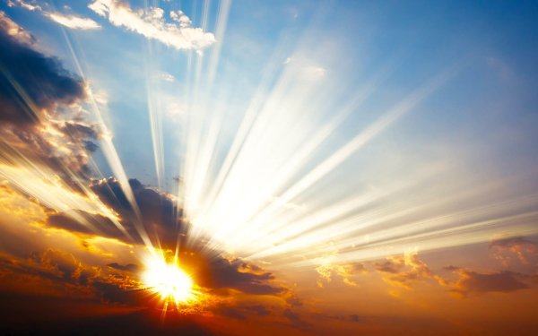 Солнце светит утром