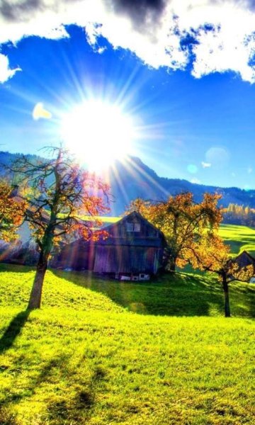 Деревенский дом