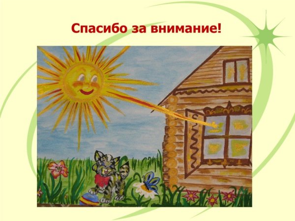 Швейцария Альпы лес