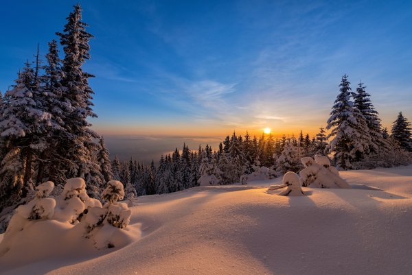 Солнечное Снежное утро