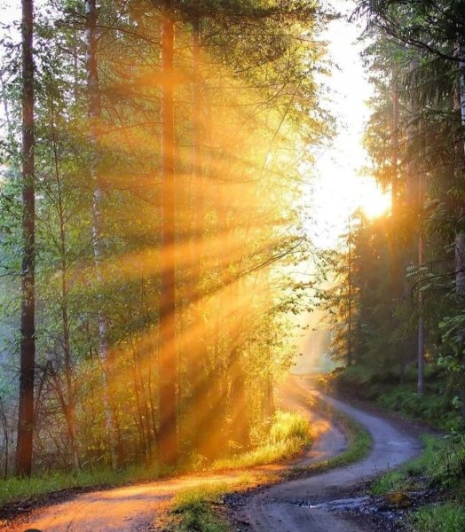 Свет солнца