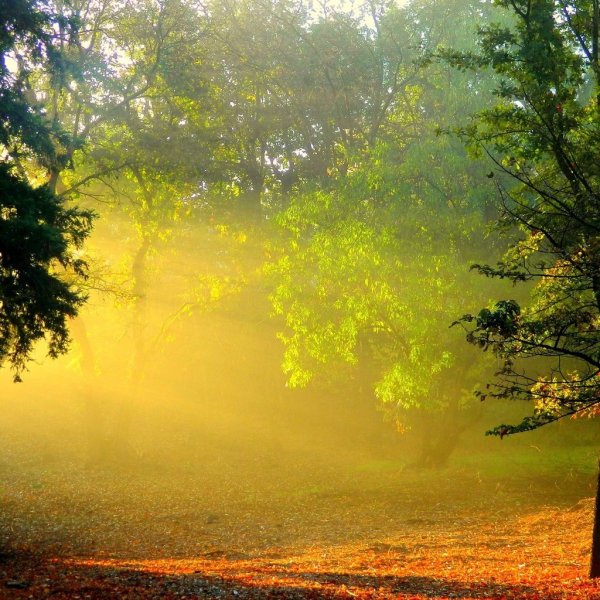 Тропинка к солнцу