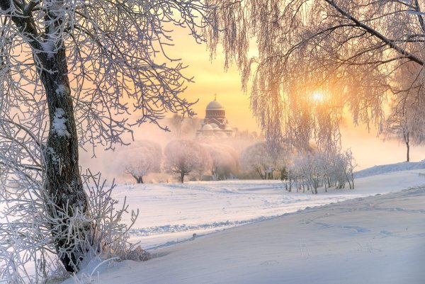 Снежное утро