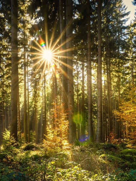 Свет солнца