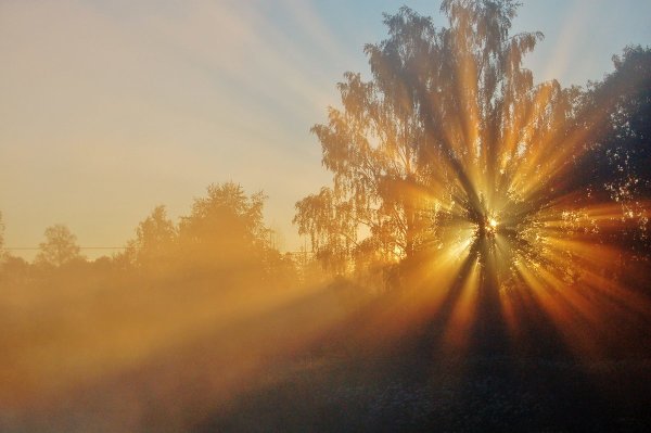 Природа солнце