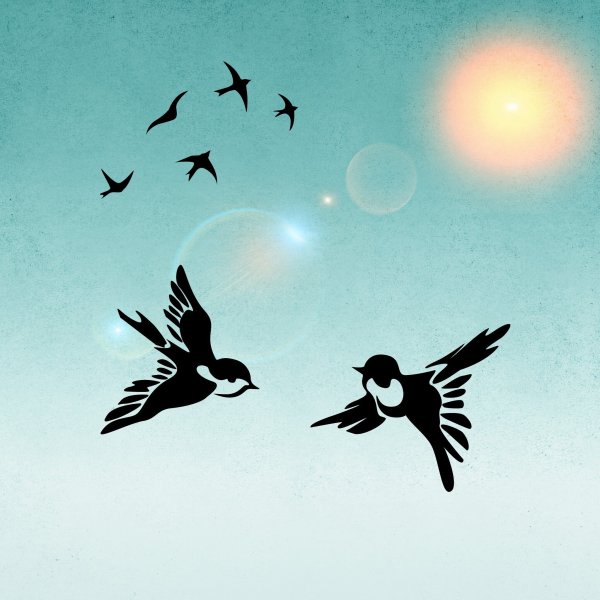 Рисование улетают птицы