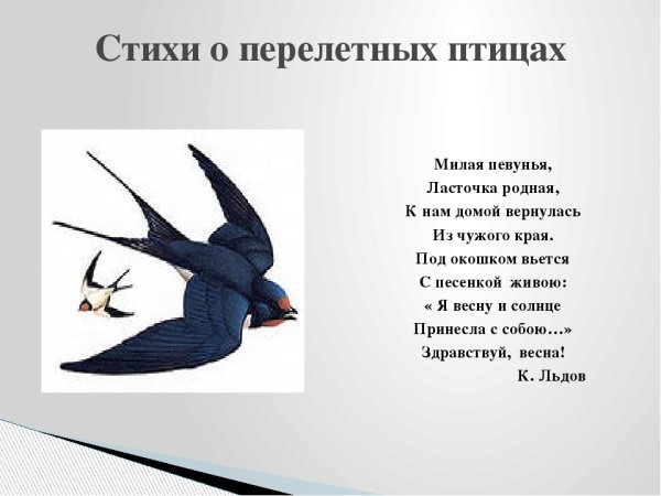 Ласточка летит
