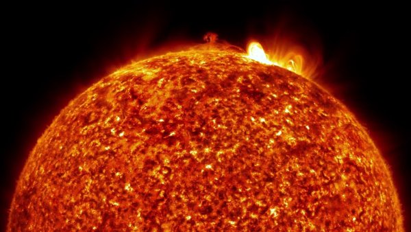 Половина солнца