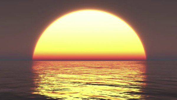 Половина солнца