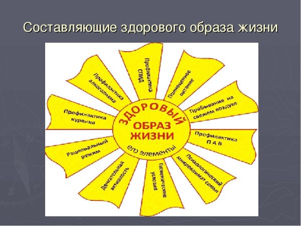 Здоровый образ жизни солнце