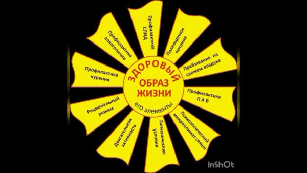 Здоровый образ жизни солнышко