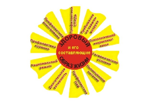 Здоровый образ жизни солнышко