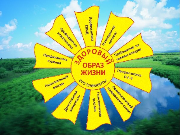 ЗОЖ В виде солнышка