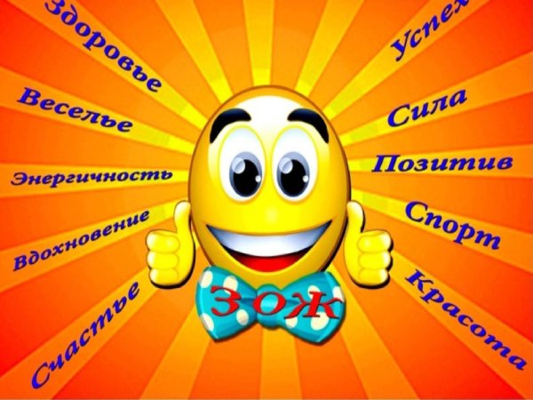 Весы Aresa SB-310