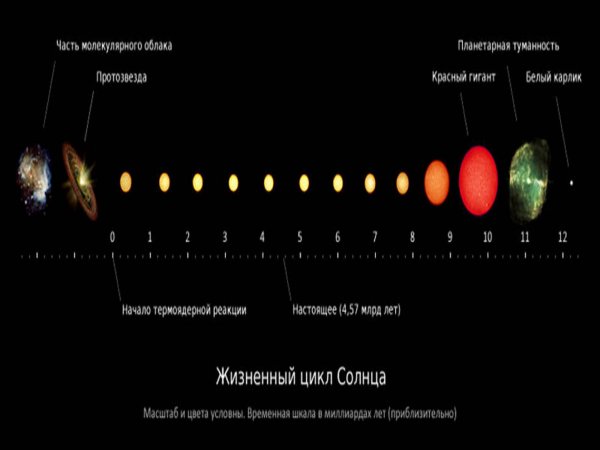 Жизненный цикл солнца кратко