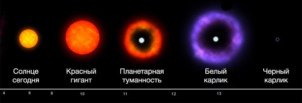 Жизненный цикл звезды гиганта