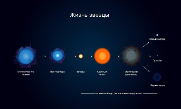 Жизненный цикл звезд протозвезда