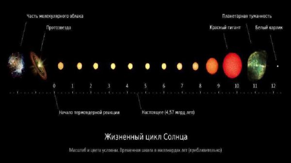 Эволюция звёзд схема протозвезда