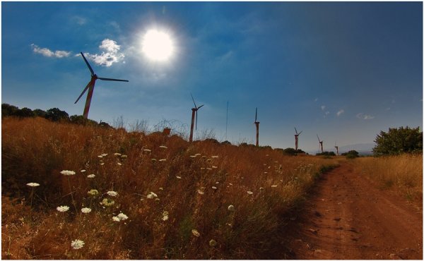 Иллюстрация к сказке Мороз солнце и ветер