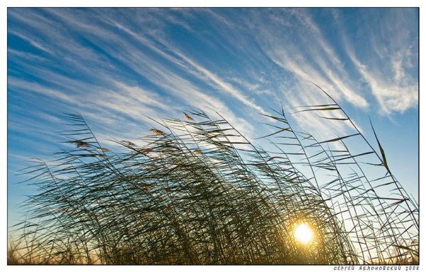 Толстое солнце