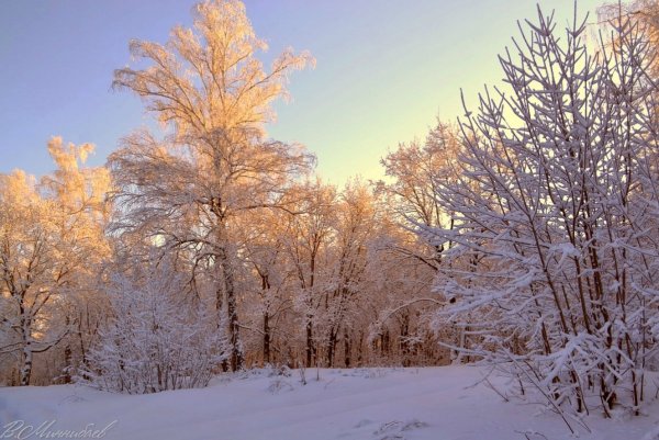 Морозный зимний день