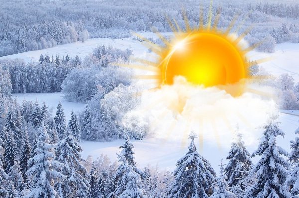 Ясный Солнечный день зимой