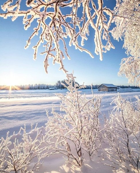 Красивые картинки с раннем утром ранней зимы