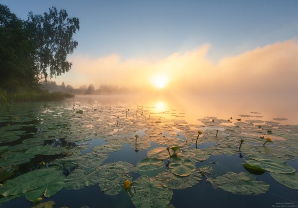 Лучи солнца в воде