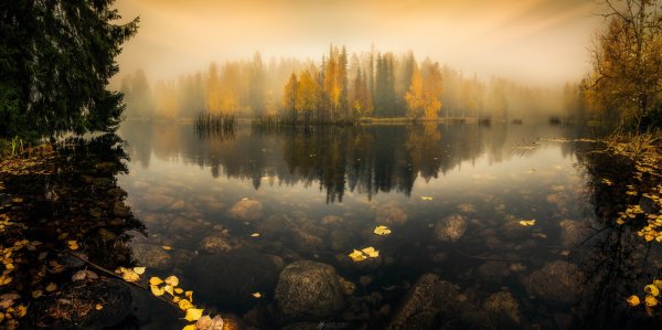 Лето река солнце