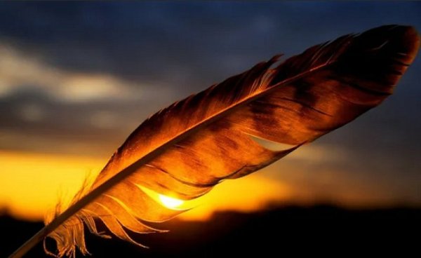 С перьями