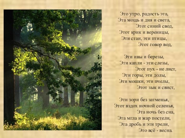 Афанасий Фет я пришел к тебе с приветом