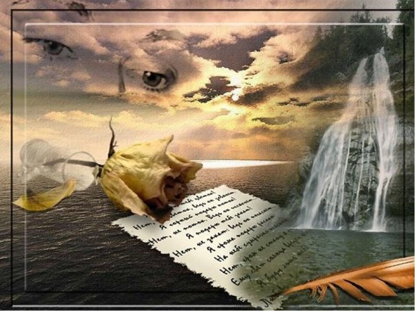 Августовское солнце