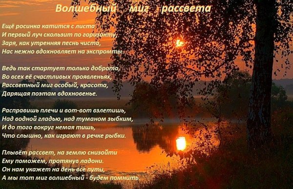 Раннее утро солнце